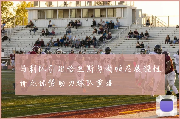 马刺队引进哈里斯与尚帕尼展现性价比优势助力球队重建