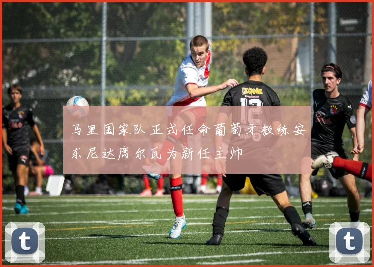 马里国家队正式任命葡萄牙教练安东尼达席尔瓦为新任主帅